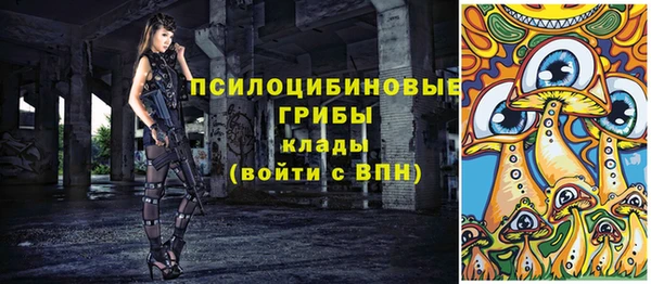 крисы Алзамай