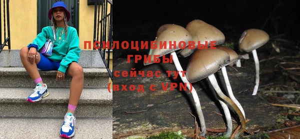 сатива Алексеевка